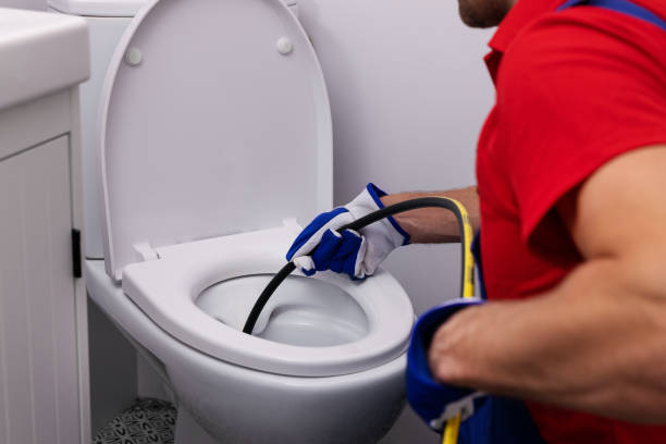 Best Plumbing Services Near Me  in Flat Rock, NC