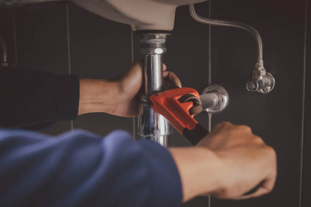 Best Clogged Drain Plumber  in Flat Rock, NC